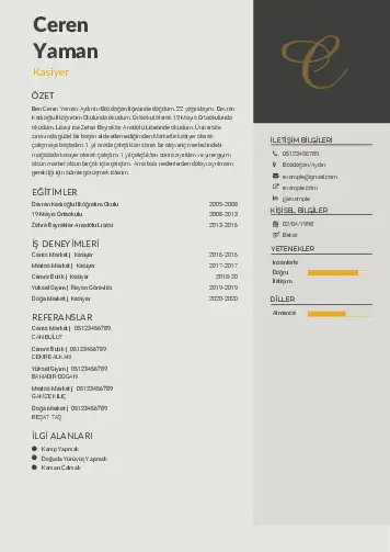 Kasiyer cv indir